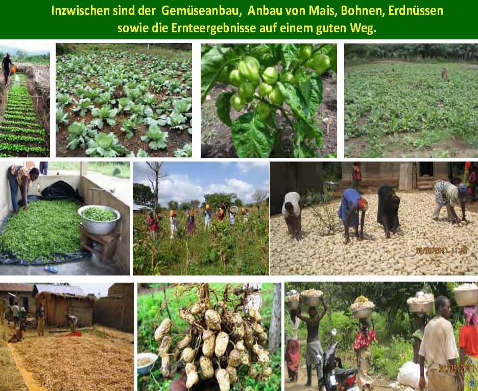 Togo Landwirtschaft